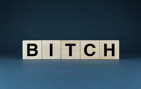 Bitch. Cubes form the word Bitch. Concept of behavior and lifestyle like a bitchの写真素材