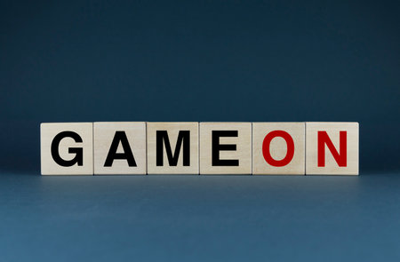 game on. The dice form the word Game On. Game On word concept used in games, business and lifeの写真素材