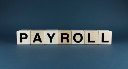A minimalist image of wooden blocks spelling out the word PAYROLL. This image represents the complex process of calculating and distributing salaries. Ideal for projects related to business operations, management, and efficiencyの写真素材