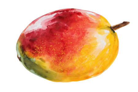 A single, whole mango with a beautiful blush of red, yellow, and green skin. A tropical hand drawn watercolor isolated food illustration perfect for juicy designs.の素材