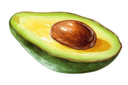 A perfectly ripe avocado cut in half, showing its creamy yellow-green flesh and large seeds. A popular hand drawn watercolor isolated food illustration for healthy eating.の素材