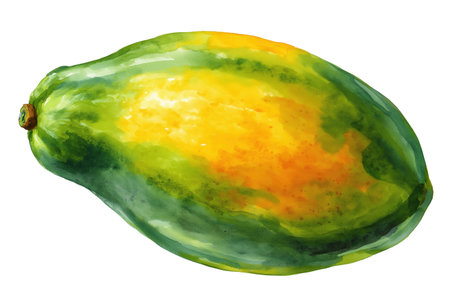 A whole, ripe papaya with a beautiful blend of green and yellow skin. A tropical hand drawn watercolor isolated food illustration for healthy lifestyle concepts.の素材