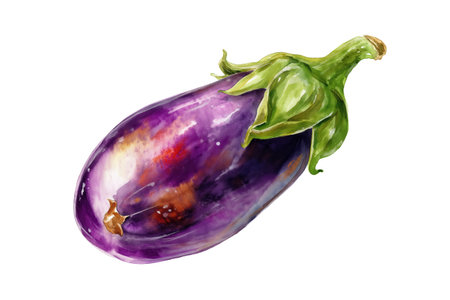 A vibrant hand drawn watercolor painting of a single purple eggplant. This isolated raw vegetable food illustration is perfect for mediterranean cuisine and recipe books.の素材