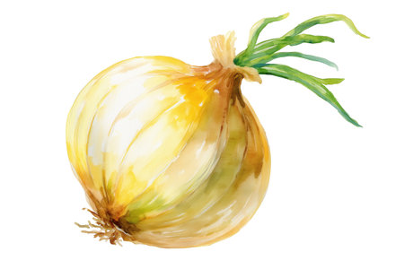 A realistic hand drawn watercolor of a whole yellow onion bulb with a sprout. This isolated vegetable food illustration is essential for culinary and recipe designs.の素材