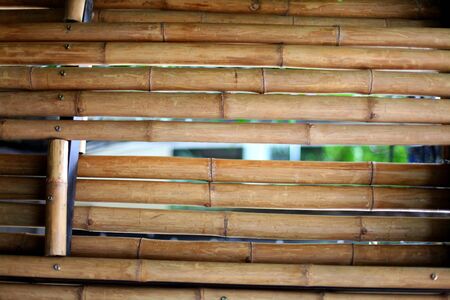 bamboo wallの写真素材
