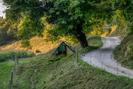 Beautiful summer mountain rural landscape; Panorama of summer green field with dirt road and Sunset cloudy sky. Dolenjska, Sloveniaの写真素材
