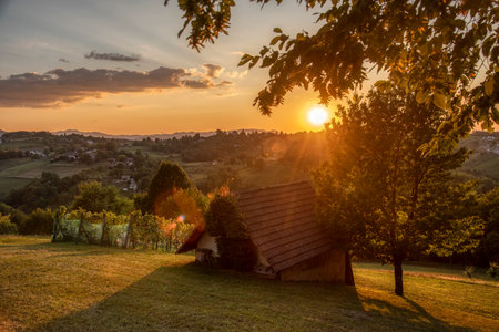 Beautiful sunset in the vineyard of the village with a wooden house, Dolenjska Slovenijaの写真素材