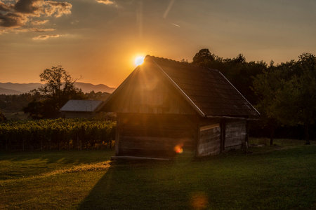 Beautiful sunset in the vineyard of the village with a wooden house, Dolenjska Slovenijaの写真素材