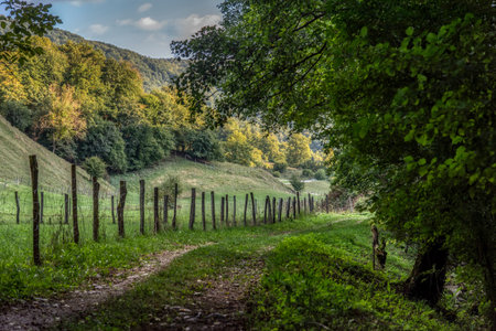 Beautiful summer mountain rural landscape; Panorama of summer green field with dirt road and Sunset cloudy sky. Dolenjska, Sloveniaの写真素材