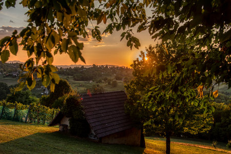 Beautiful sunset in the vineyard of the village with a wooden house, Dolenjska Slovenijaの写真素材