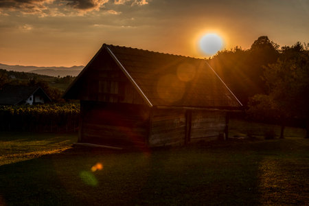 Beautiful sunset in the vineyard of the village with a wooden house, Dolenjska Slovenijaの写真素材