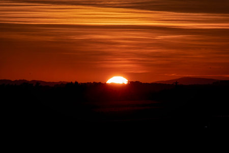 Sunset landscape with a plain wild grass field and a forest on background.の写真素材