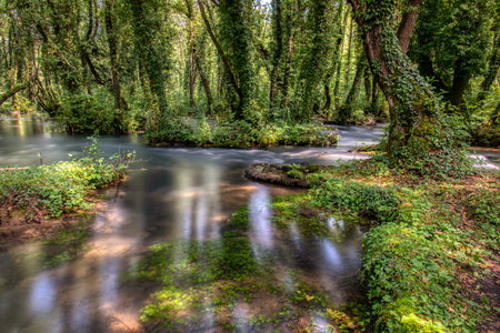 Turquoise color of water in the summer on the river Janj surrounded by forest.の写真素材