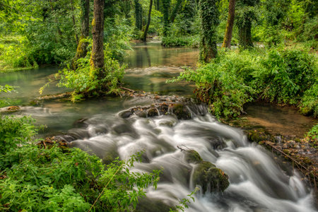 Turquoise color of water in the summer on the river Janj surrounded by forest.の写真素材