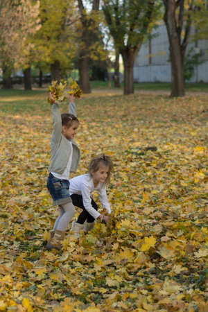 Kids playing in autumn parkの写真素材