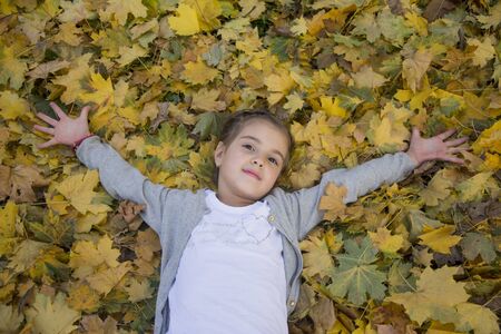 Kids playing in autumn parkの写真素材