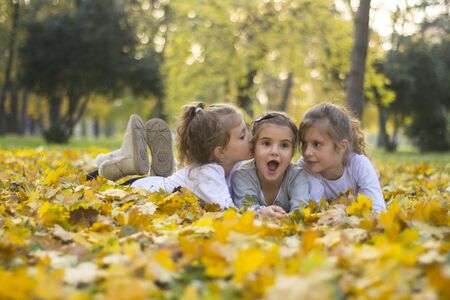 Kids playing in autumn parkの写真素材
