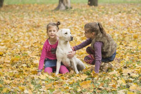 Kids playing in autumn parkの写真素材