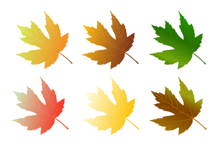 Colorful maple leaves isolated on white backgroundのイラスト素材