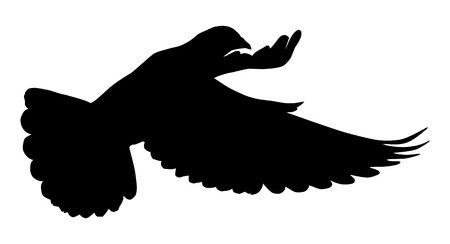 Silhouette of a flying dove on a white background vector illustrationのイラスト素材