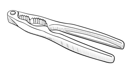 Nutcracker isolated on a white backgroundのイラスト素材
