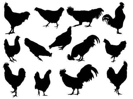 Hen and Rooster silhouettesのイラスト素材