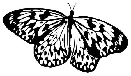 Butterfly silhouetteのイラスト素材
