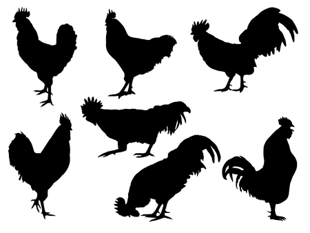 Rooster Silhouette collectionのイラスト素材