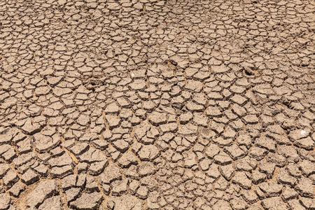 Cracks in the dried soil in arid season as a textureの写真素材