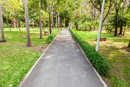 pavement in the parkの写真素材