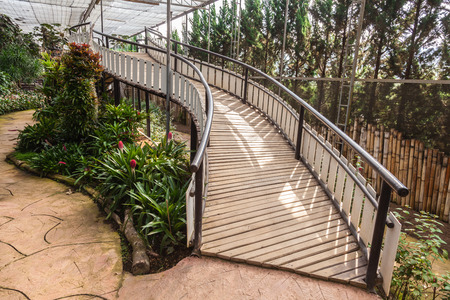 walkway in the gardenの写真素材