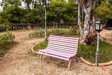 Pink chairs in the garden and flowers.の写真素材