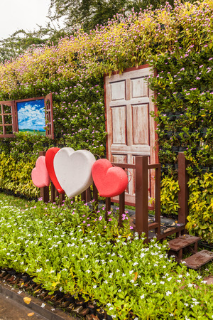 Valentines Day background with heart and flower in the garden.の写真素材