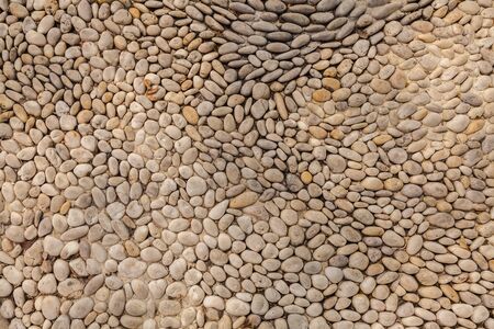 background made of a closeup of a wall with pebblesの写真素材
