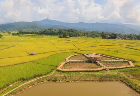 Cottage and green terraced rice field in Thailandの写真素材