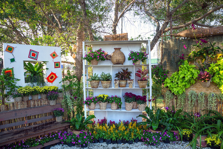 Vertical gardening Creative Style.の写真素材