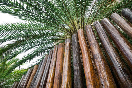 Decorative wooden fence in the garden.の写真素材
