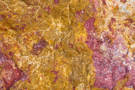 Colorful patterned surface on a rock for background.の写真素材