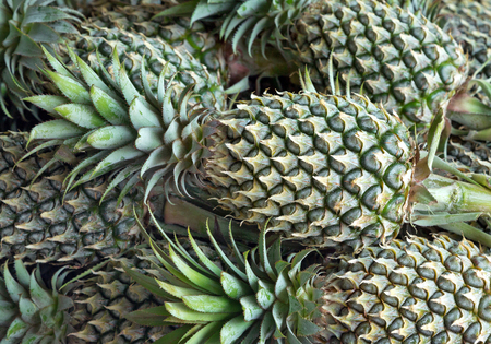 Pattern of pineapple for cooking.の写真素材