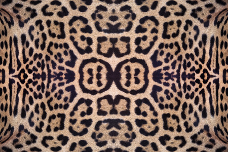 Jaguar skin pattern for the background.