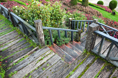 The wooden walkway in the park.の写真素材