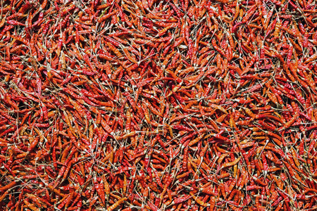 Colorful patterns of dried peppers for cooking.の写真素材