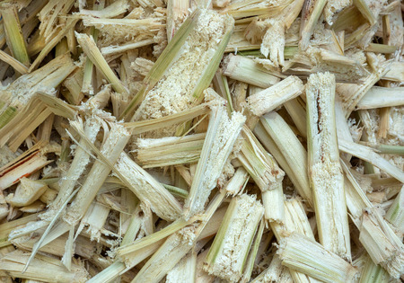 Residue of sugar cane that has been crushed.の写真素材