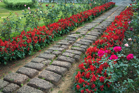 Stone walkway in the park.の写真素材