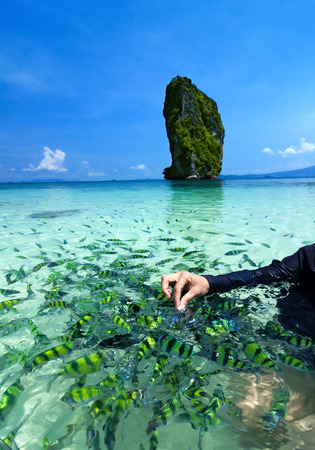 beautiful beach and tropical sea, Krabi, in thailand.の写真素材