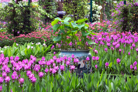Vertical garden decoration to blend naturally.の写真素材