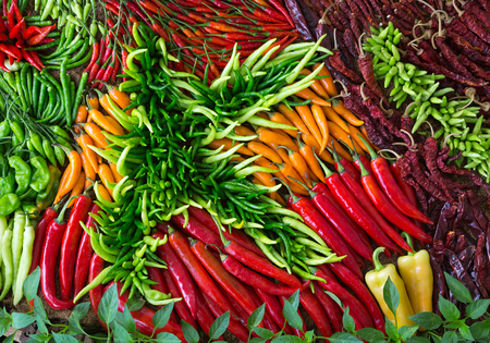 Colorful patterns of fresh chili paste for cooking.の写真素材