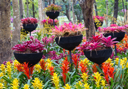 Vertical gardening in the park.の写真素材