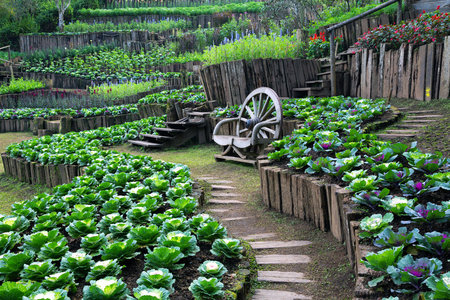 Decorative vertical garden in the park.