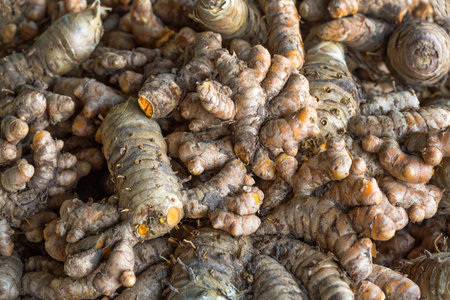 Turmeric (Curcuma longa Linn).の写真素材